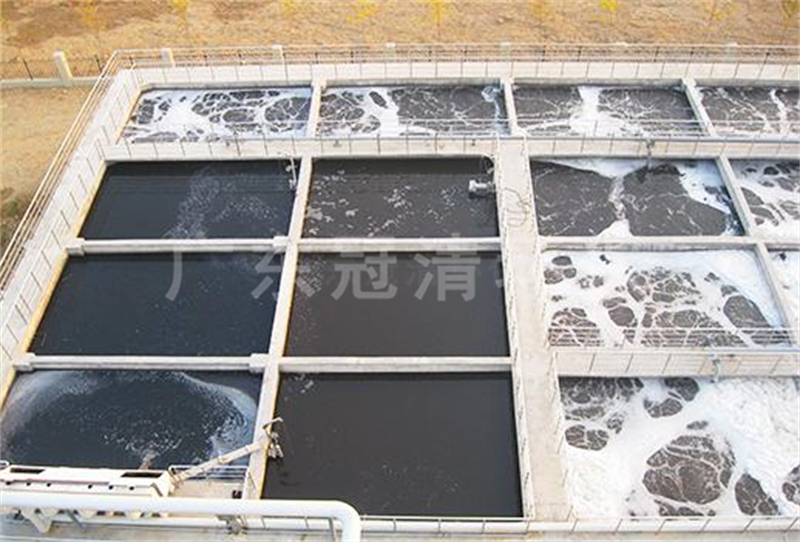 低碳氮比废水中总氮铁屑耦合固相反硝化处理